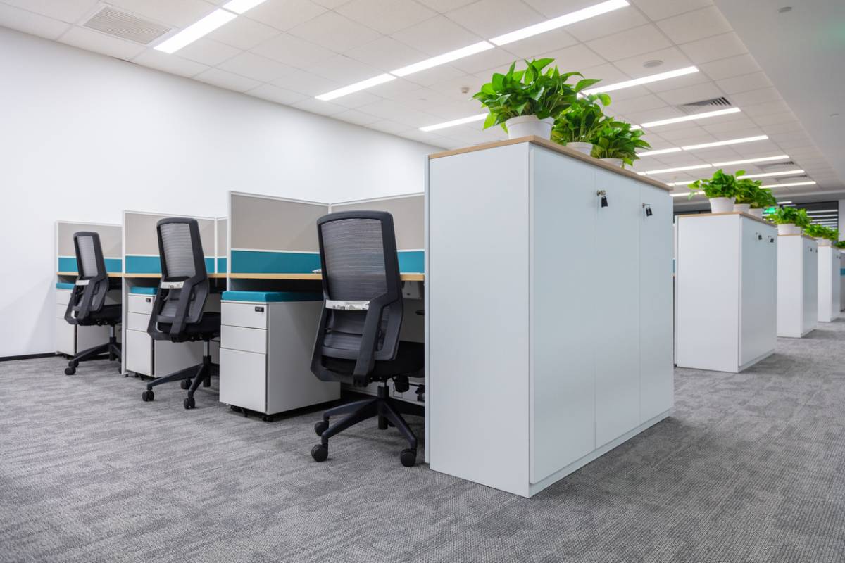 Espace de travail moderne avec postes de bureau individuels séparés par des cloisons blanches, chaises noires ergonomiques, bandes turquoise décoratives et plantes vertes sur les cloisons.