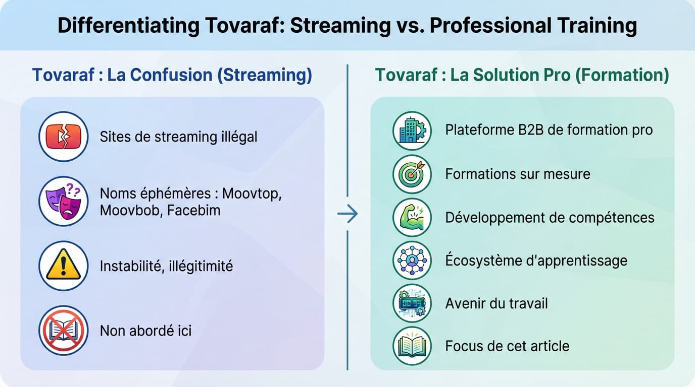 Comparaison entre la confusion du streaming et la solution professionnelle Tovaraf pour la formation